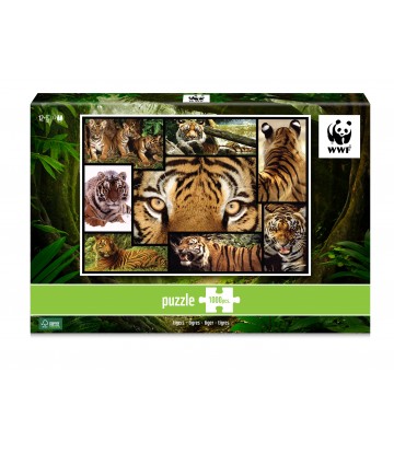 Puzzle 1000 piezas: Tigres