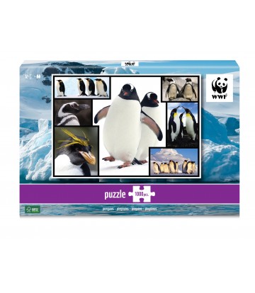 puzzle 1000 piezas pingüinos